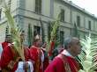 proc domenica delle palme