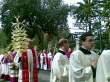 processione palme