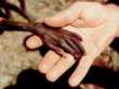 Giornata Mondiale PovertÃ 